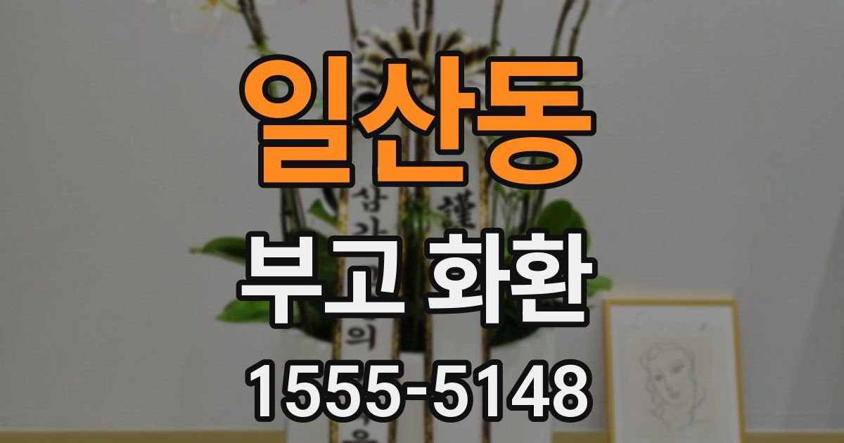 일산동 부고 화환