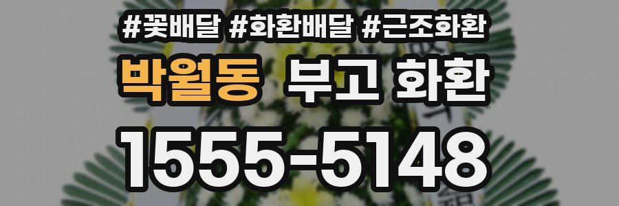 박월동 부고 화환