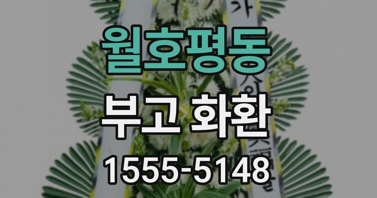 월호평동 부고 화환