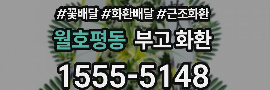 월호평동 부고 화환