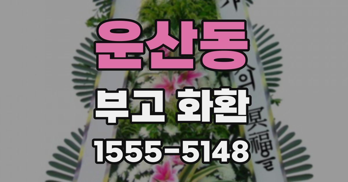 운산동 부고 화환