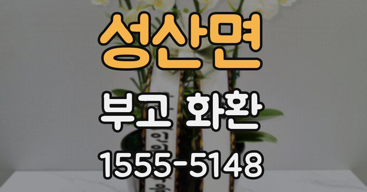 성산면 부고 화환