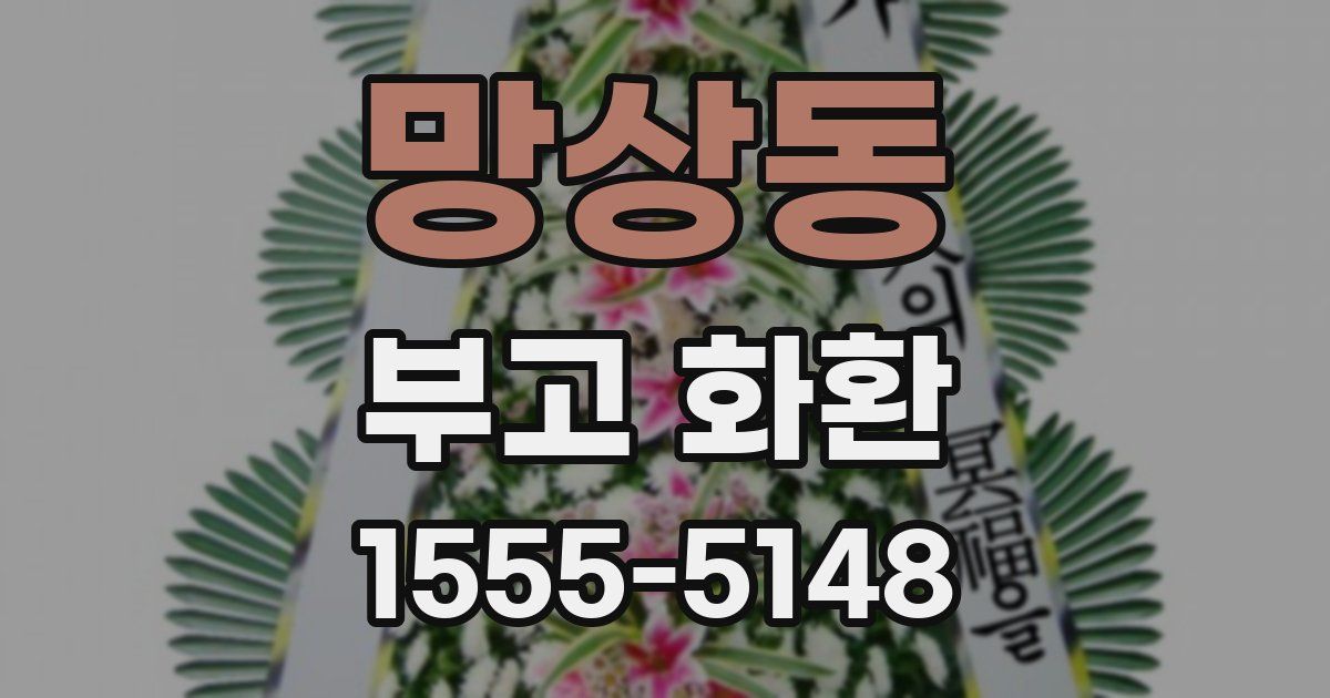망상동 부고 화환