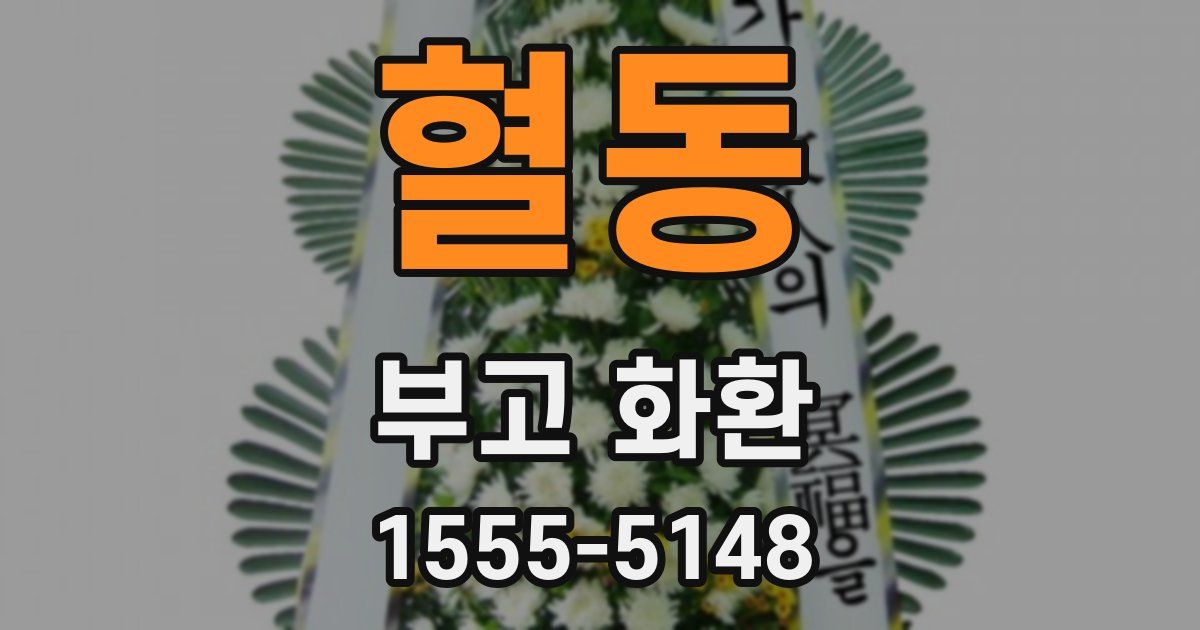 혈동 부고 화환
