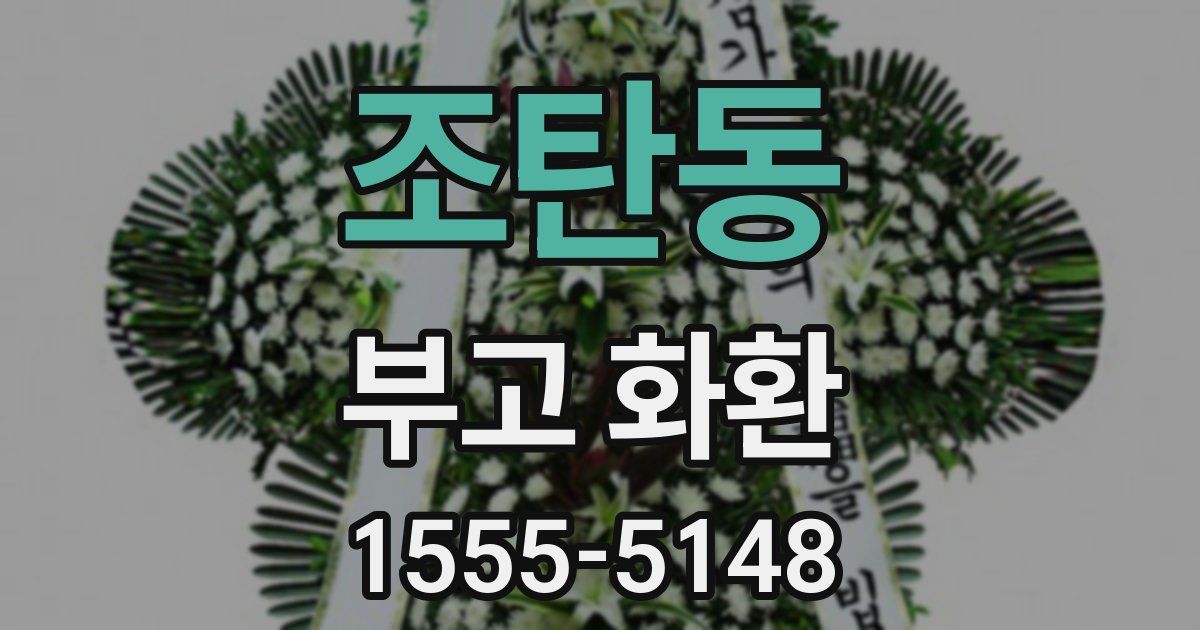 조탄동 부고 화환