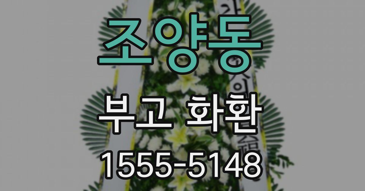 조양동 부고 화환