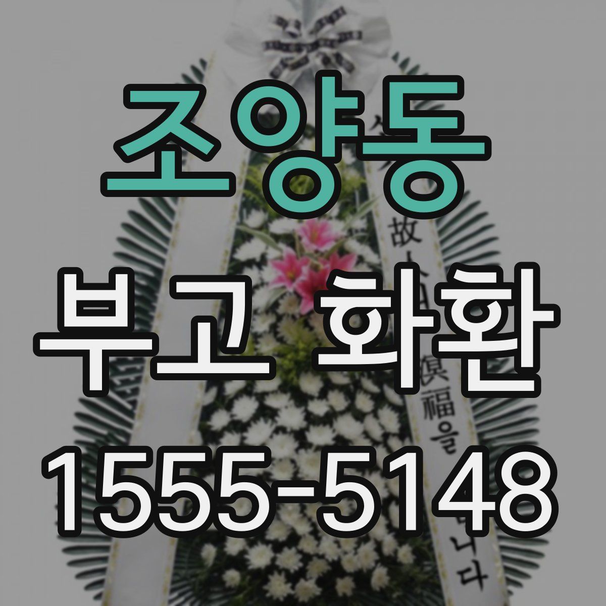 조양동 부고 화환