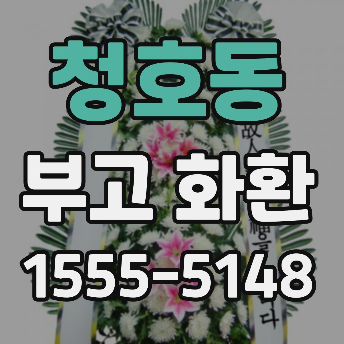 청호동 부고 화환