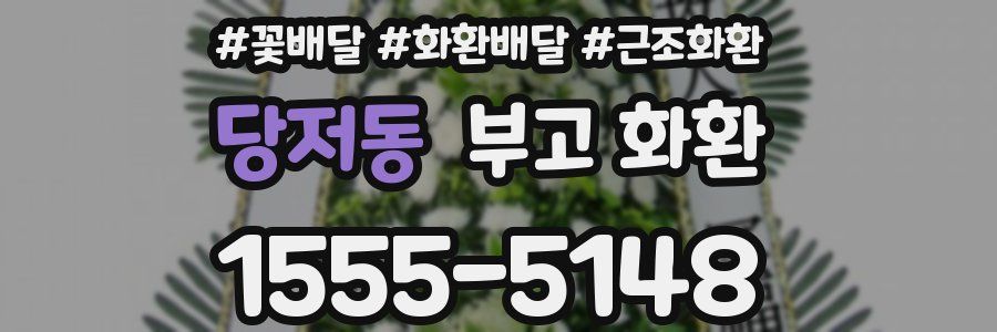 당저동 부고 화환