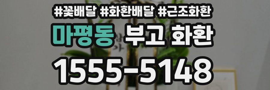 마평동 부고 화환