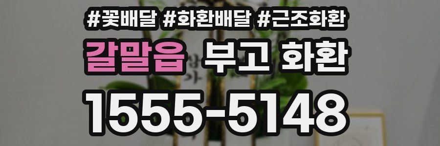갈말읍 부고 화환