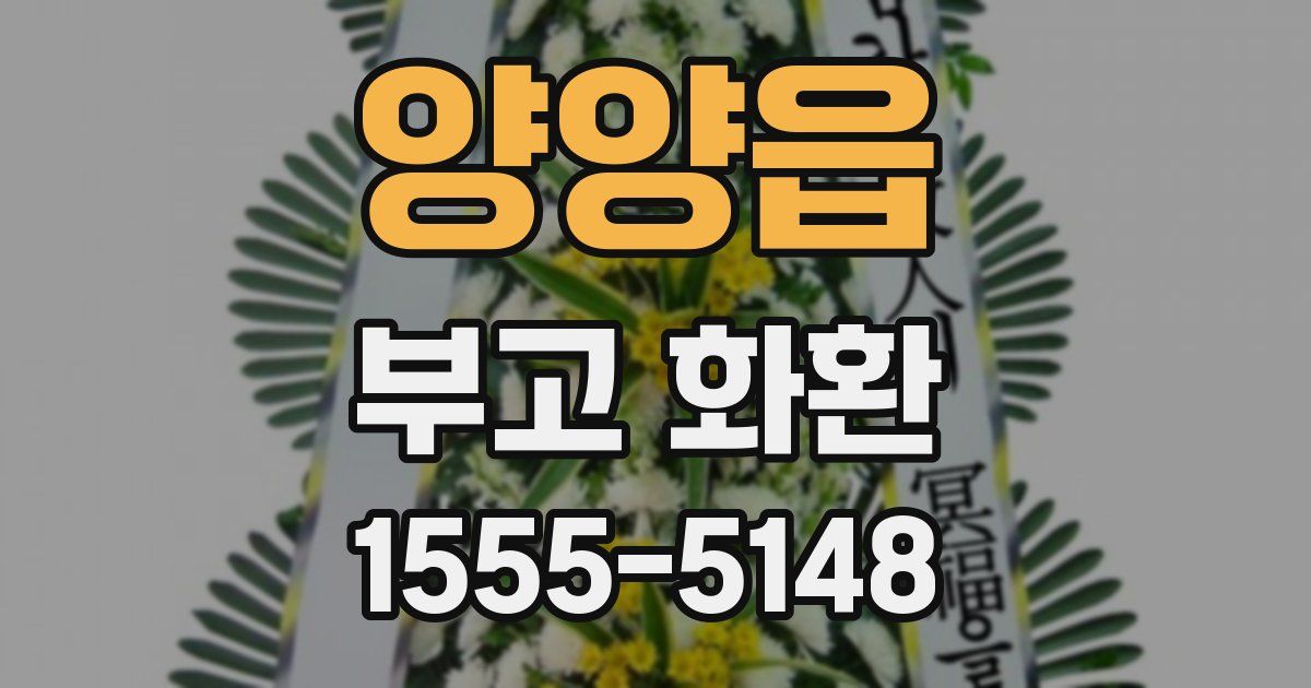 양양읍 부고 화환