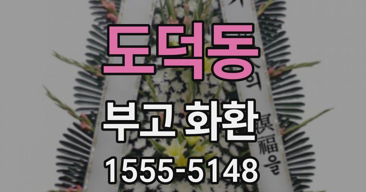 도덕동 부고 화환
