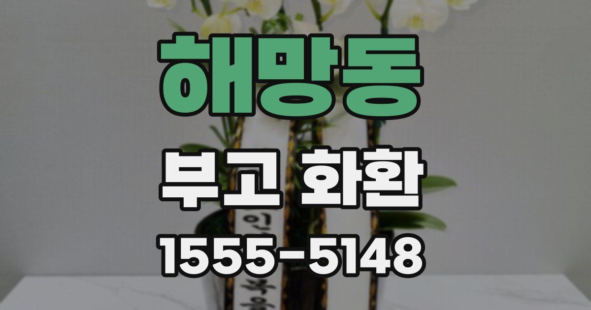 해망동 부고 화환