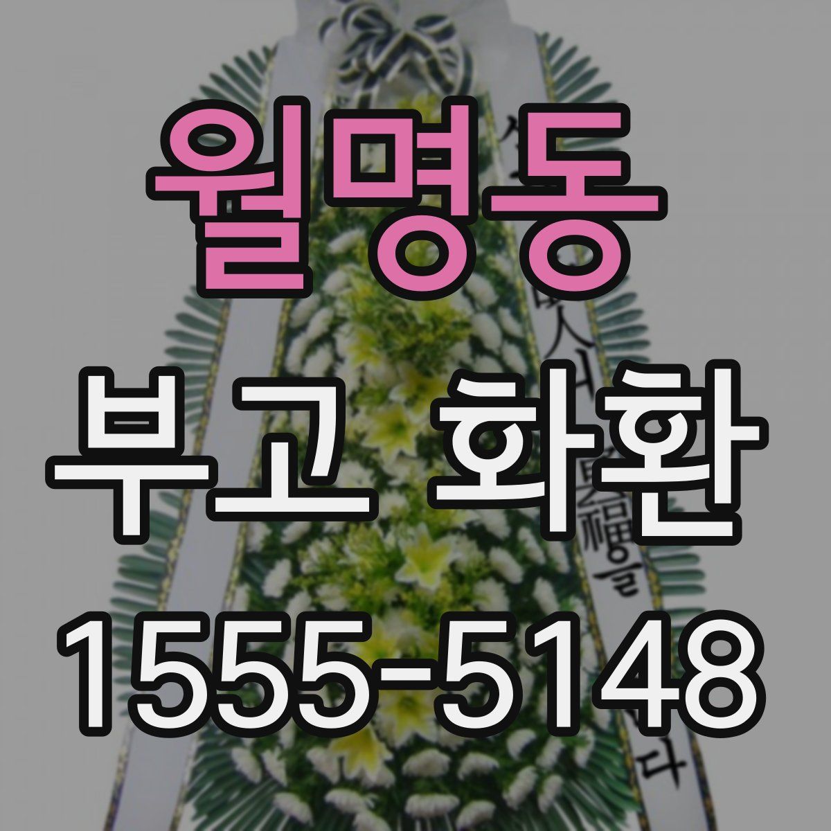 월명동 부고 화환