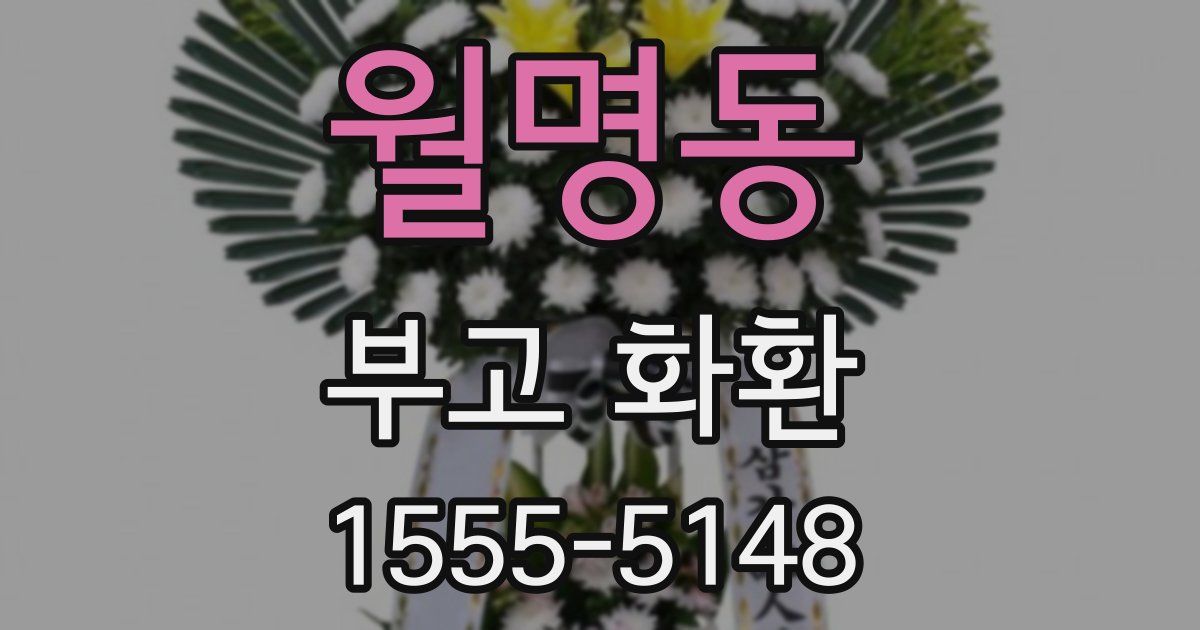 월명동 부고 화환