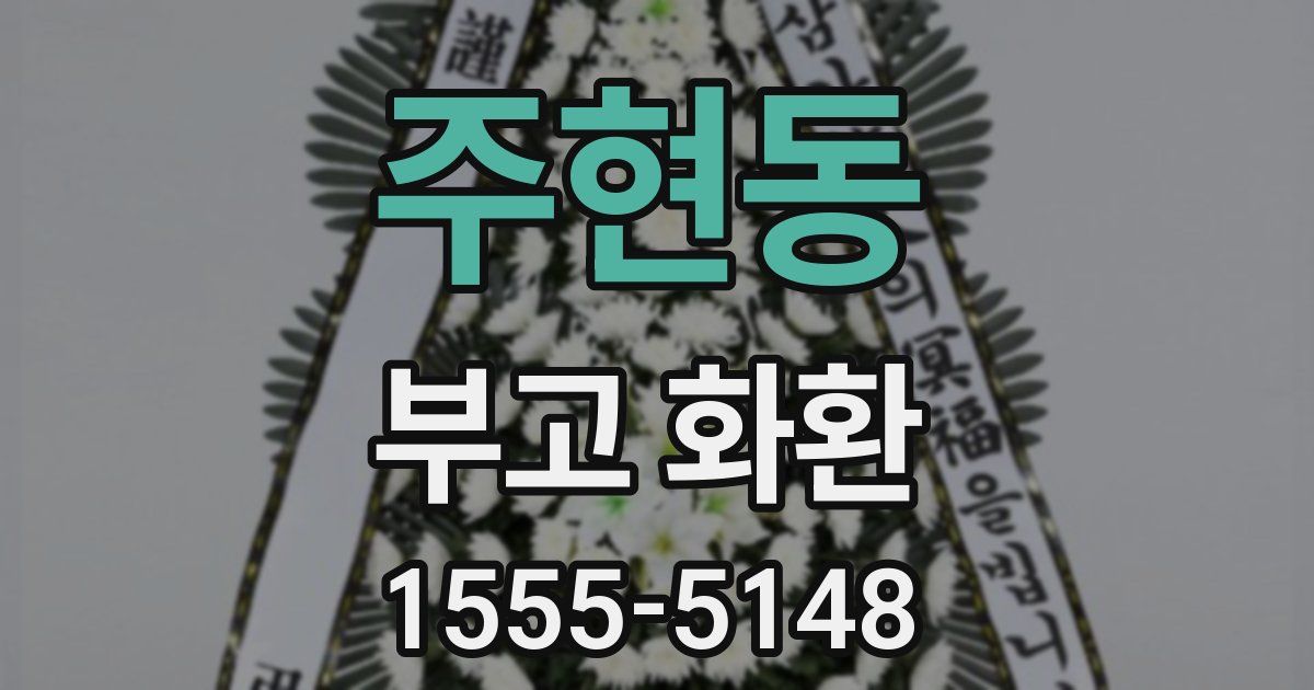 주현동 부고 화환