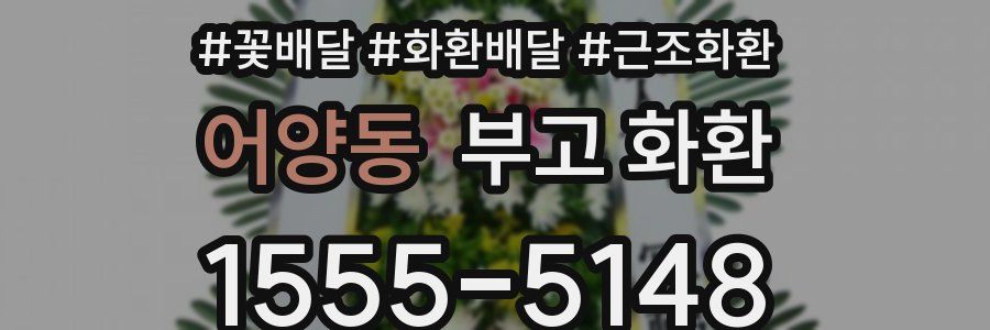 어양동 부고 화환