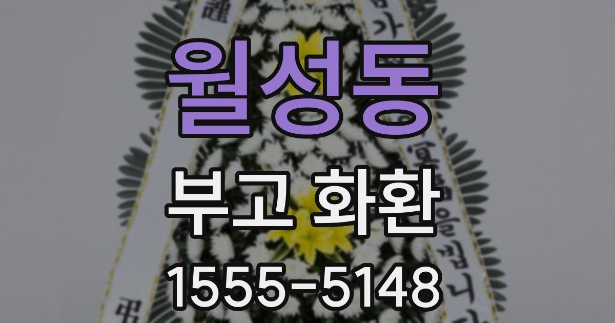 월성동 부고 화환