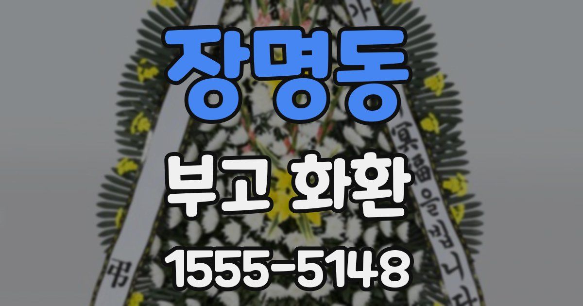 장명동 부고 화환