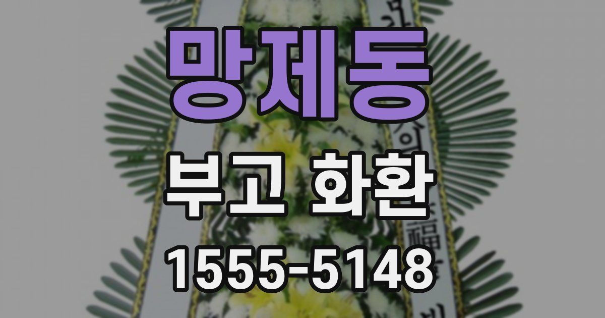 망제동 부고 화환