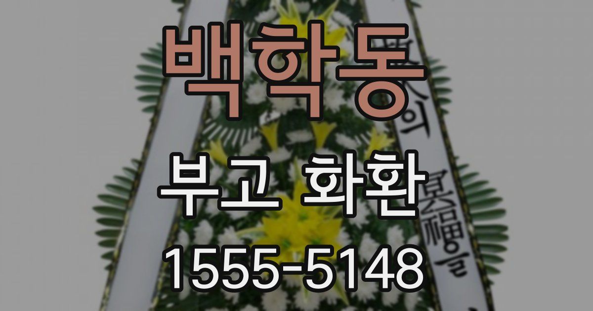 백학동 부고 화환