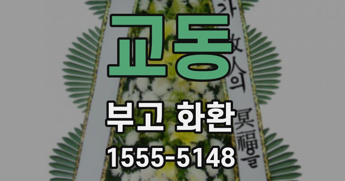 교동 부고 화환