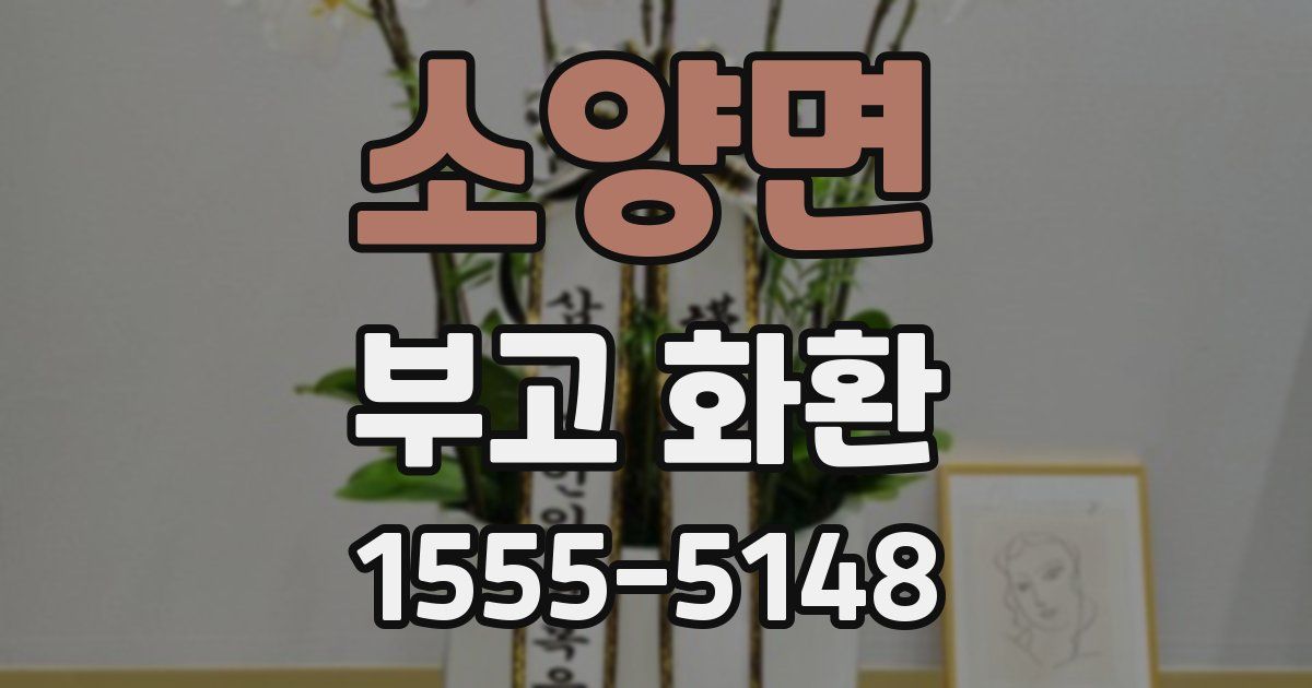 소양면 부고 화환