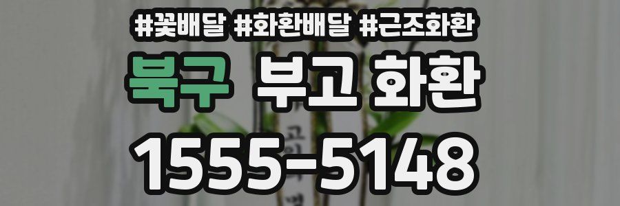 북구 부고 화환