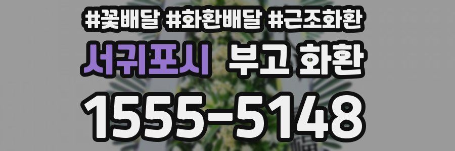 서귀포시 부고 화환