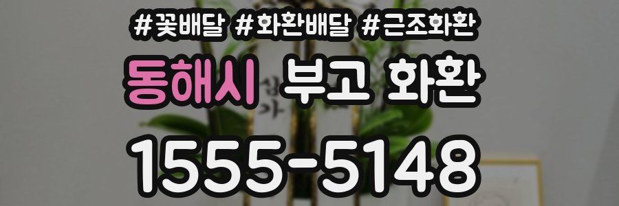 동해시 부고 화환