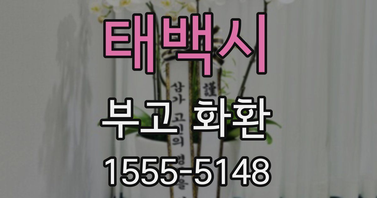 태백시 부고 화환