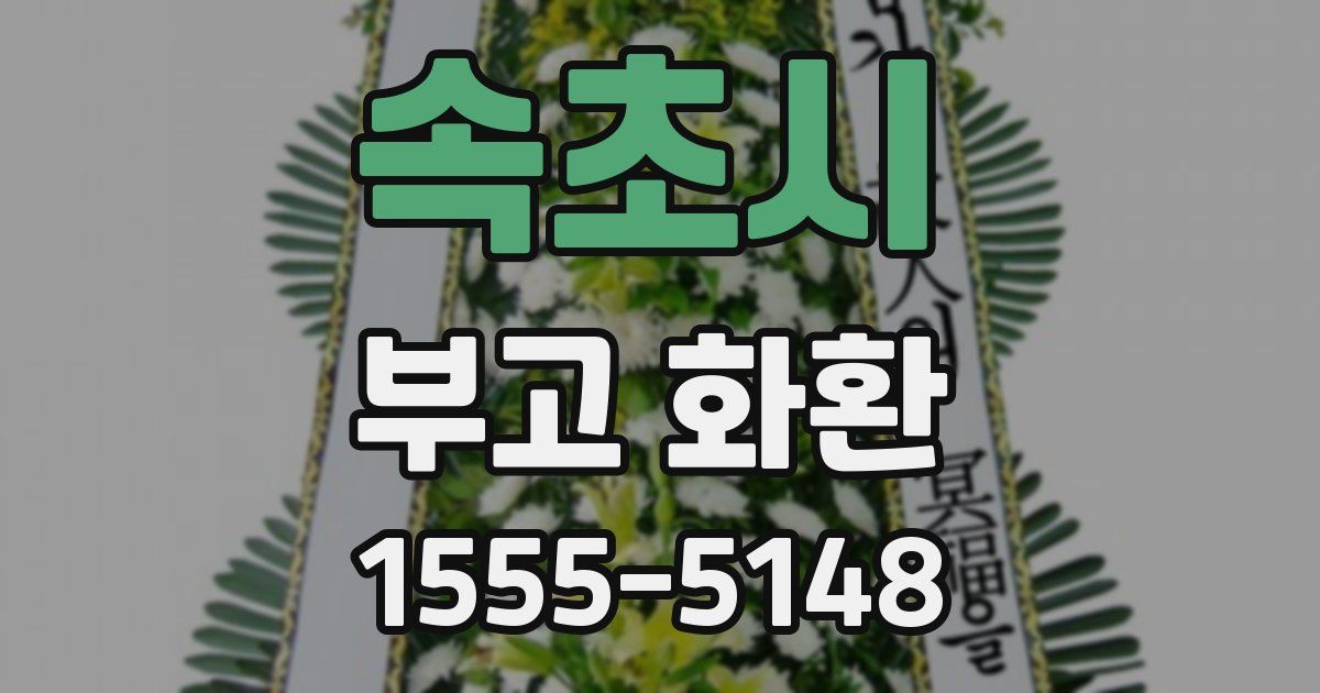 속초시 부고 화환