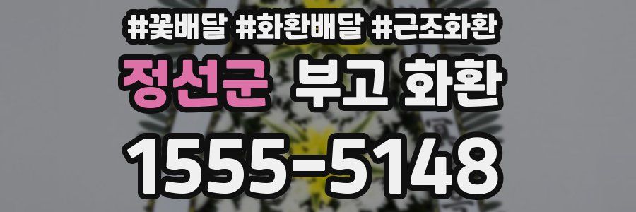 정선군 부고 화환