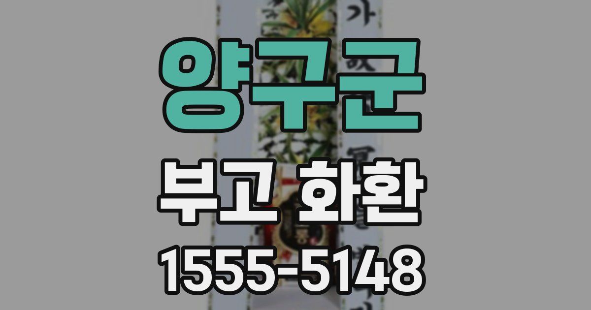 양구군 부고 화환