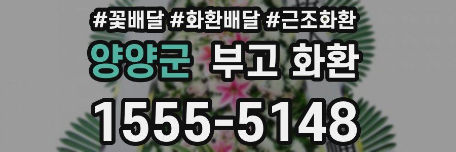 양양군 부고 화환