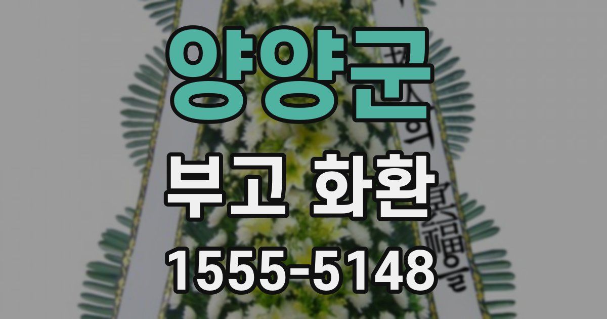 양양군 부고 화환