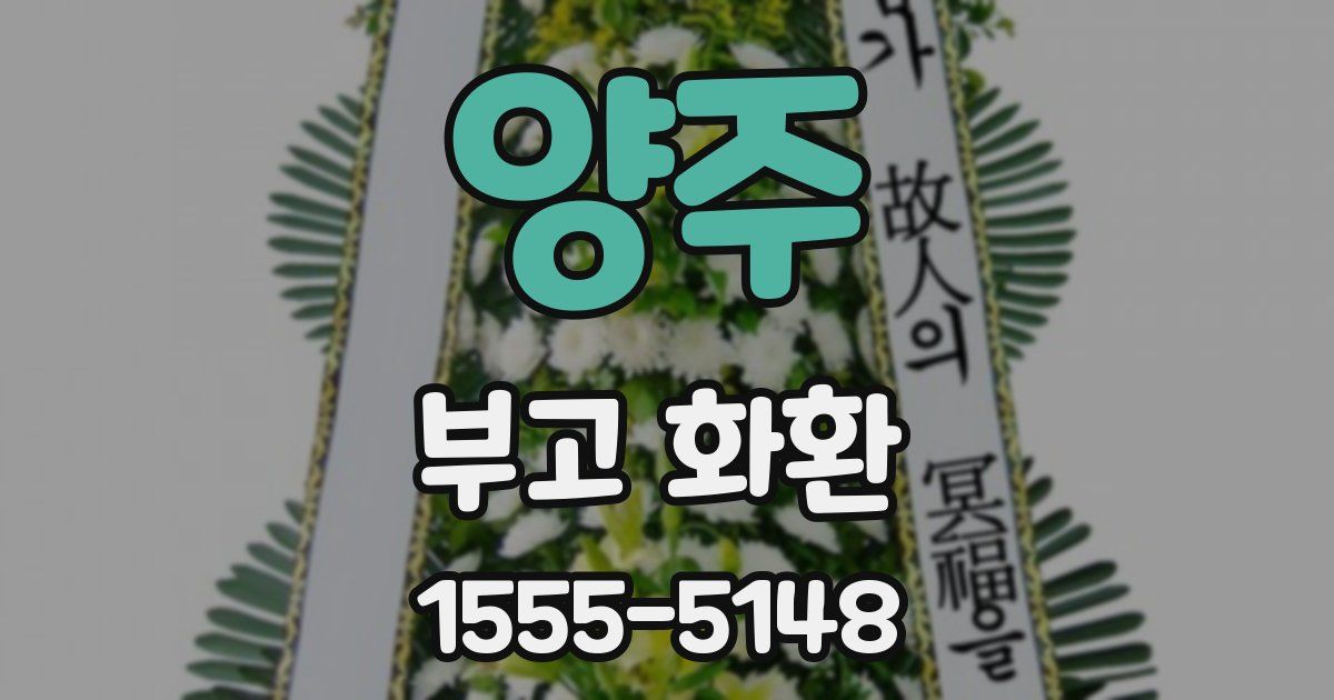 양주 부고 화환