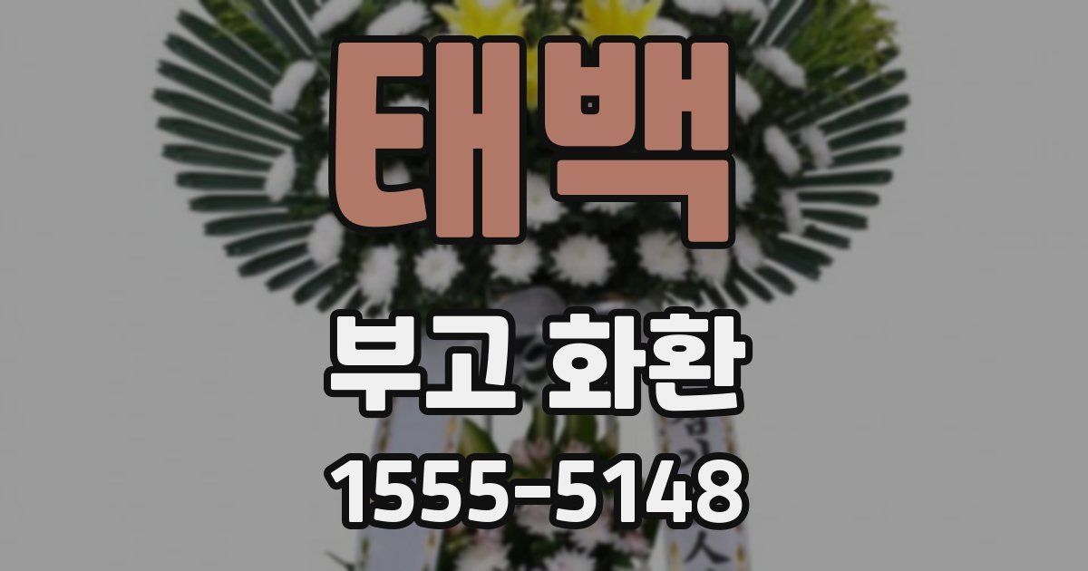 태백 부고 화환