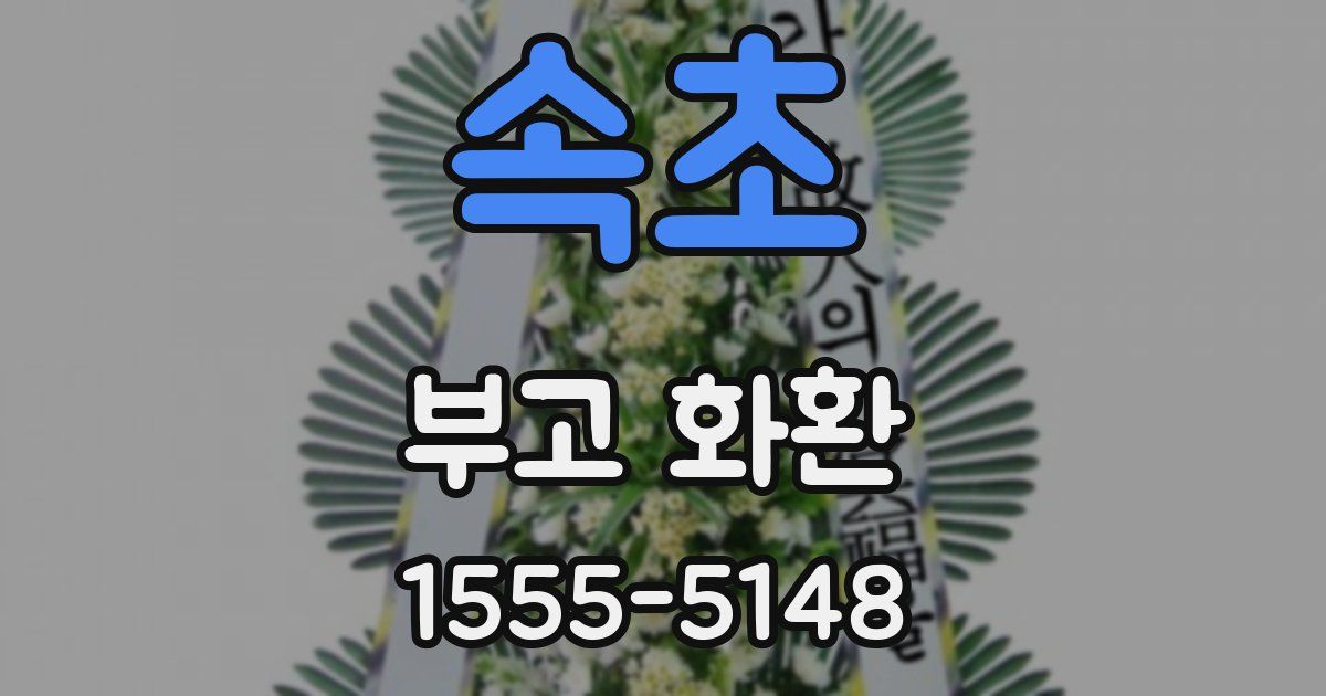 속초 부고 화환