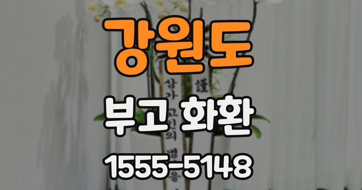 강원도 부고 화환