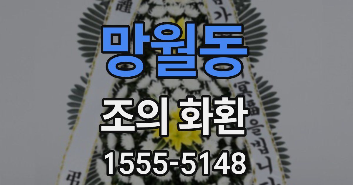 망월동 조의 화환