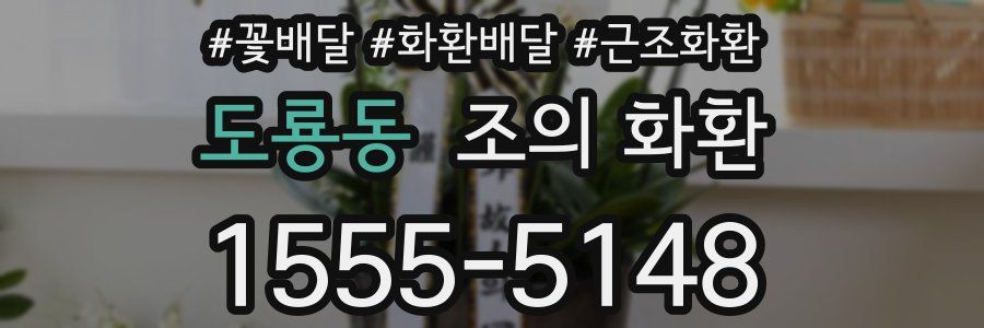 도룡동 조의 화환