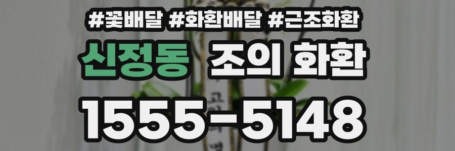 신정동 조의 화환