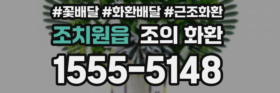 조치원읍 조의 화환