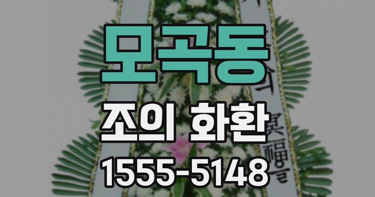 모곡동 조의 화환