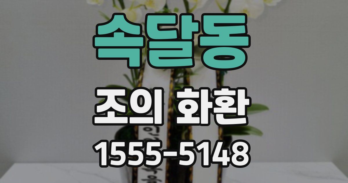 속달동 조의 화환