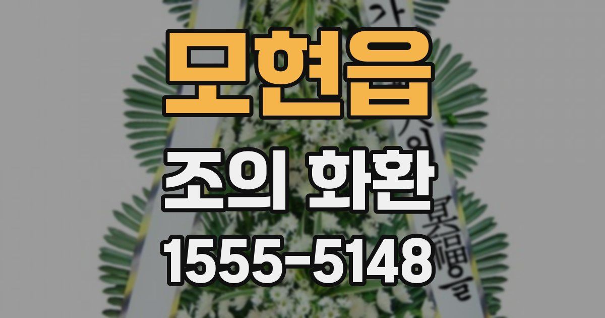 모현읍 조의 화환