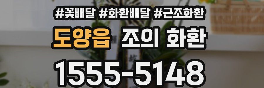 도양읍 조의 화환