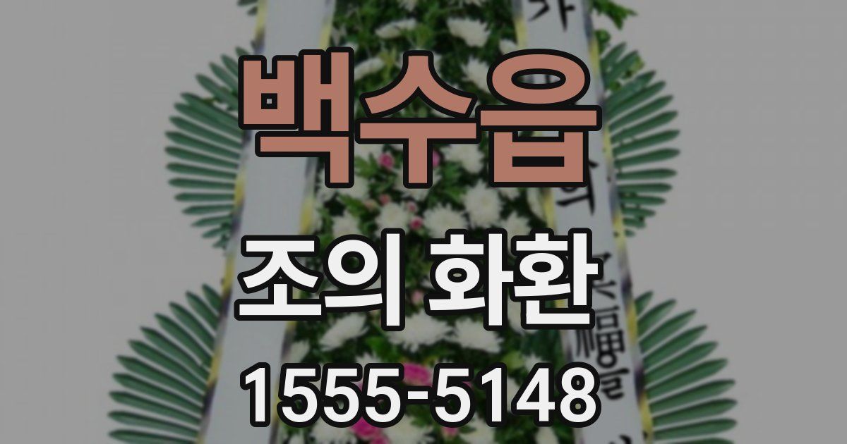 백수읍 조의 화환